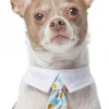 Frisco Brunch Dog & Cat Neck Tie -Pet Food Gear Shop 249305 MAIN. SY630 V1614274894