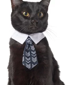 Frisco Boho Dog & Cat Neck Tie -Pet Food Gear Shop 249307 PT2. SY630 V1614274579