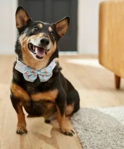 Frisco Nautical Anchor Dog & Cat Bow Tie -Pet Food Gear Shop 249322 PT7. SY630 V1614274594