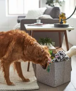 Frisco Square Collapsible Pet Toy Storage Bin, Gray Basket Weave