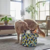 Frisco Round Collapsible Pet Toy Storage Bin, Yellow Geometric -Pet Food Gear Shop 250587 MAIN. SY630 V1615242941