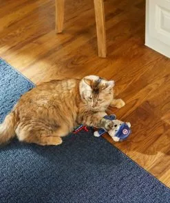 Frisco Baseball Bear Kicker Cat Toy 7 Frisco Baseball Bear Kicker Cat Toy -Pet Food Gear Shop 252730 PT5. SY630 V1615814492