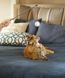 Frisco Baseball Teaser Cat Toy 7 Frisco Baseball Teaser Cat Toy -Pet Food Gear Shop 252736 PT5. SY630 V1615814597