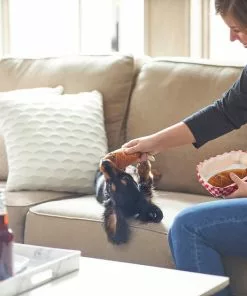 Frisco Baseball Hide-and-Seek Corndog Dog Toy -Pet Food Gear Shop 252746 PT5. SY630 V1615814528