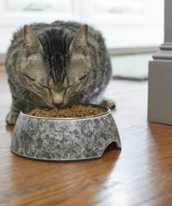 Frisco Black Marble Design Stainless Steel Dog & Cat Bowl 12 Frisco Black Marble Design Stainless Steel Dog & Cat Bowl -Pet Food Gear Shop 253046 PT2. SY630 V1616599598