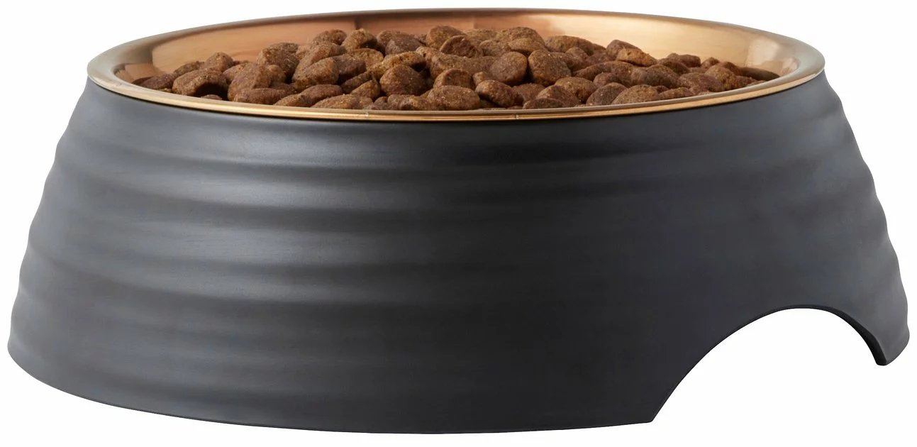 Frisco Matte Black Design Light Copper Stainless Steel Dog & Cat Bowl 6 Frisco Matte Black Design Light Copper Stainless Steel Dog & Cat Bowl - Image 4