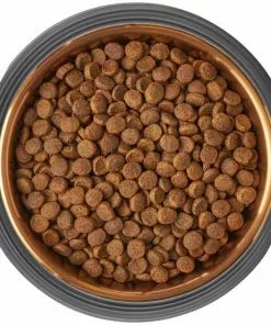 Frisco Matte Black Design Light Copper Stainless Steel Dog & Cat Bowl 15 Frisco Matte Black Design Light Copper Stainless Steel Dog & Cat Bowl -Pet Food Gear Shop 253050 PT5. SY630 V1616526818