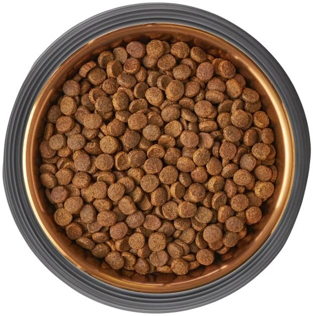 Frisco Matte Black Design Light Copper Stainless Steel Dog & Cat Bowl 8 Frisco Matte Black Design Light Copper Stainless Steel Dog & Cat Bowl - Image 6