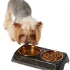 Frisco Copper Stainless Steel Double Dog & Cat Bowls with Black Marble Stand, 0.75 Cups 1 Frisco Copper Stainless Steel Double Dog & Cat Bowls with Black Marble Stand, 0.75 Cups -Pet Food Gear Shop 253058 MAIN. SY630 V1616075012
