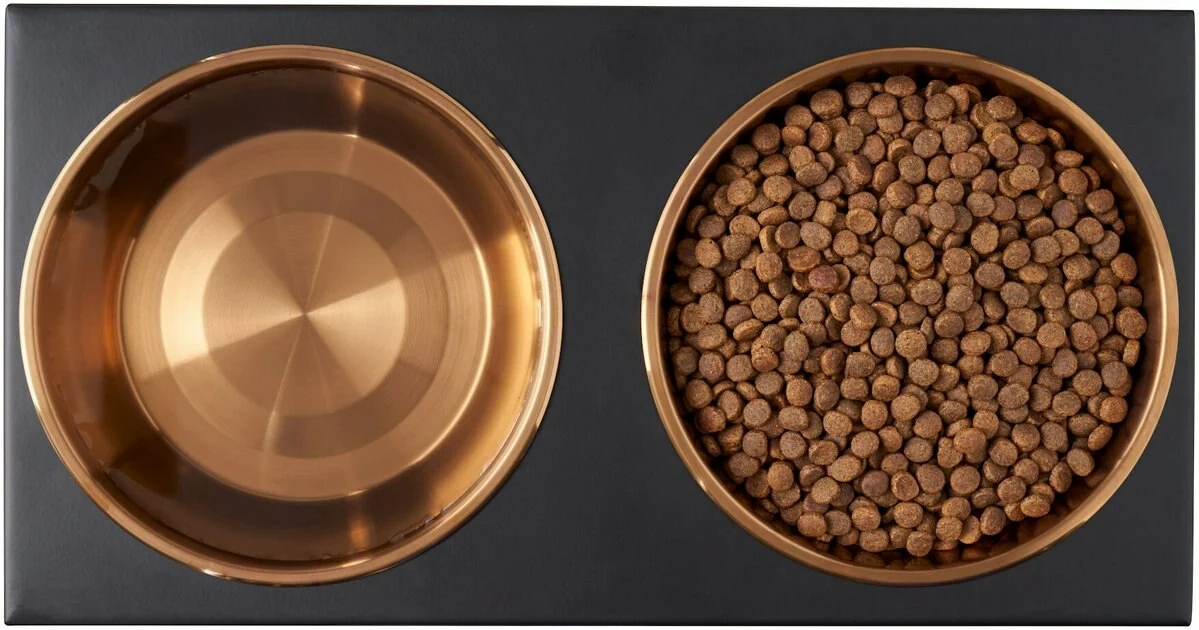 Frisco Copper Stainless Steel Elevated Foldable Double Dog & Cat Bowls 8 Frisco Copper Stainless Steel Elevated Foldable Double Dog & Cat Bowls - Image 6