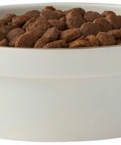 Frisco Gold Trim Melamine Dog & Cat Bowl, Cream -Pet Food Gear Shop 253062 PT3. SY630 V1616595685