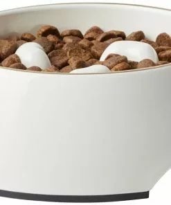 Frisco Melamine Slow Feed Dog & Cat Bowl with Gold Trim, Cream -Pet Food Gear Shop 253067 PT3. SY630 V1615312295