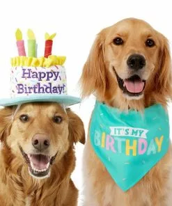 Frisco Birthday Cake Dog & Cat Hat & Frisco Dog & Cat Birthday Bandana