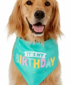 Frisco Birthday Cake Dog & Cat Hat & Frisco Dog & Cat Birthday Bandana 10 Frisco Birthday Cake Dog & Cat Hat & Frisco Dog & Cat Birthday Bandana -Pet Food Gear Shop 255463 PT3. SY630 V1603716088