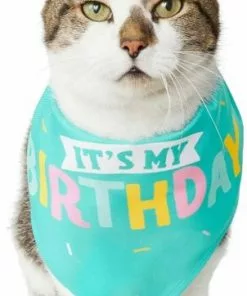 Frisco Birthday Cake Dog & Cat Hat & Frisco Dog & Cat Birthday Bandana 11 Frisco Birthday Cake Dog & Cat Hat & Frisco Dog & Cat Birthday Bandana -Pet Food Gear Shop 255463 PT4. SY630 V1603716094