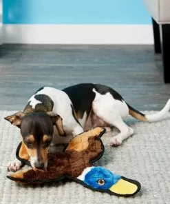 Frisco||Virbac Frisco Flat Plush Squeaking Duck Dog Toy & Virbac C.E.T. Enzymatic Dog & Cat Vanilla-Mint Flavor Toothpaste 10 Frisco||Virbac Frisco Flat Plush Squeaking Duck Dog Toy & Virbac C.E.T. Enzymatic Dog & Cat Vanilla-Mint Flavor Toothpaste -Pet Food Gear Shop 255473 PT2. SY630 V1616428593
