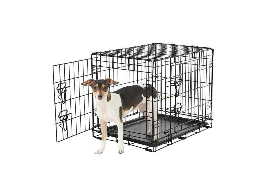 Frisco Fold & Carry Double Door Collapsible Wire Dog Crate & Frisco Gray Basket Weave Dog Crate Mat 5 Frisco Fold & Carry Double Door Collapsible Wire Dog Crate & Frisco Gray Basket Weave Dog Crate Mat - Image 3