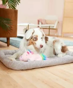 Frisco Fold & Carry Double Door Collapsible Wire Dog Crate, 36 inch & Frisco Gray Basket Weave Dog Crate Mat, 36-in 11 Frisco Fold & Carry Double Door Collapsible Wire Dog Crate, 36 inch & Frisco Gray Basket Weave Dog Crate Mat, 36-in -Pet Food Gear Shop 255481 PT4. SY630 V1604078441