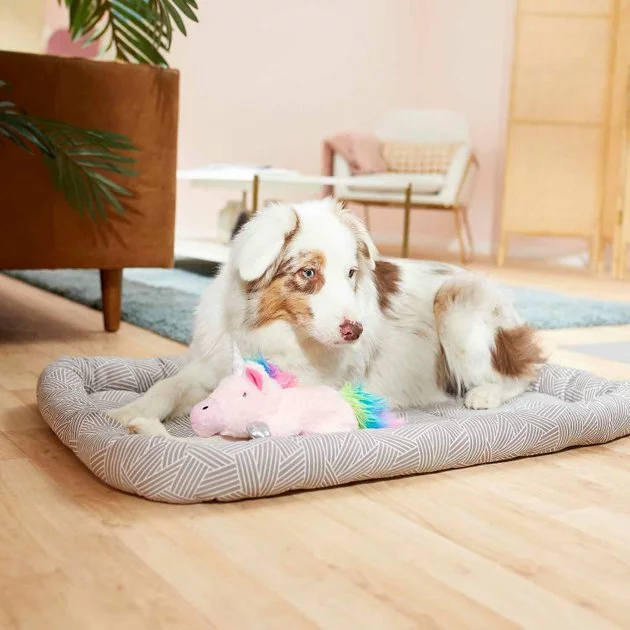 Frisco Fold & Carry Double Door Collapsible Wire Dog Crate, 36 inch & Frisco Gray Basket Weave Dog Crate Mat, 36-in 7 Frisco Fold & Carry Double Door Collapsible Wire Dog Crate, 36 inch & Frisco Gray Basket Weave Dog Crate Mat, 36-in - Image 5