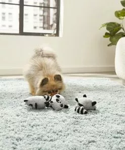 Frisco Hide & Seek Plush Trash Can Puzzle Dog Toy & Frisco Hide & Seek Raccoon Dog Toy Refills, 3-pack -Pet Food Gear Shop 255563 PT4. SY630 V1602702370