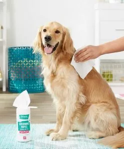 Frisco||PetHonesty Frisco Hypoallergenic Grooming Wipes with Organic Aloe for Dogs & Cats, Unscented & PetHonesty Allergy Relief Snacks Immunity Strength & Digestive Health Soft Chews Dog Supplement -Pet Food Gear Shop 255569 PT2. SY630 V1603545391
