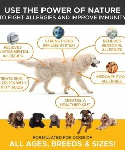 Frisco||PetHonesty Frisco Hypoallergenic Grooming Wipes with Organic Aloe for Dogs & Cats, Unscented & PetHonesty Allergy Relief Snacks Immunity Strength & Digestive Health Soft Chews Dog Supplement -Pet Food Gear Shop 255569 PT4. SY630 V1603545416