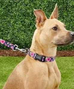 Frisco Midnight Floral Dog Leash & Frisco Midnight Floral Dog Collar -Pet Food Gear Shop 255571 PT2. SY630 V1603545417