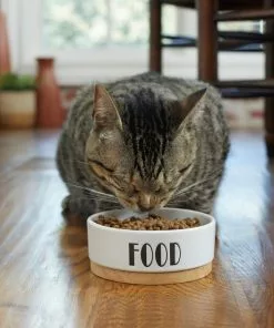 Frisco Ceramic Food Dog & Cat Bowl with Wood Base -Pet Food Gear Shop 256042 PT2. SY630 V1615311693