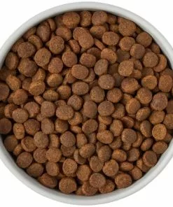 Frisco Ceramic Food Dog & Cat Bowl with Wood Base -Pet Food Gear Shop 256042 PT6. SY630 V1615317399