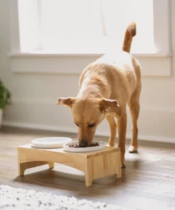 Frisco Ceramic Dog & Cat Double Diner with Elevated Wood Stand, 1.87 Cups -Pet Food Gear Shop 256052 PT2. SY630 V1615311142