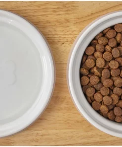 Frisco Ceramic Dog & Cat Double Diner with Elevated Wood Stand, 1.87 Cups -Pet Food Gear Shop 256052 PT6. SY630 V1615311469