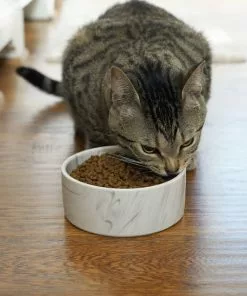 Frisco Marble Design Non-skid Ceramic Dog & Cat Bowl -Pet Food Gear Shop 256056 PT3. SY630 V1616074299