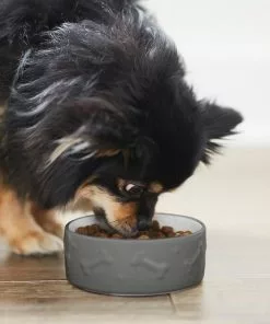 Frisco Bones Non-skid Ceramic Dog & Cat Bowl, Gray -Pet Food Gear Shop 256063 PT2. SY630 V1626186231
