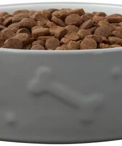 Frisco Bones Non-skid Ceramic Dog & Cat Bowl, Gray -Pet Food Gear Shop 256063 PT3. SY630 V1616508727