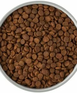 Frisco Bones Non-skid Ceramic Dog & Cat Bowl, Gray -Pet Food Gear Shop 256063 PT5. SY630 V1616508997