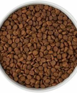 Frisco Paw Prints Non-skid Ceramic Bowl, 7.75 Cups 13 Frisco Paw Prints Non-skid Ceramic Bowl, 7.75 Cups -Pet Food Gear Shop 256072 PT5. SY630 V1615312318