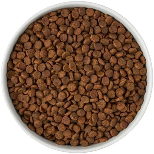 Frisco Paw Prints Non-skid Ceramic Bowl, 7.75 Cups 8 Frisco Paw Prints Non-skid Ceramic Bowl, 7.75 Cups - Image 6