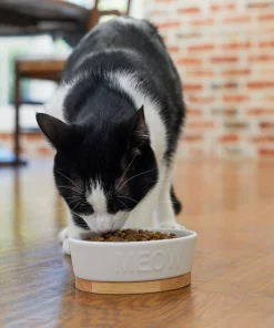 Frisco Oval Meow Non-skid Ceramic Cat Bowl with Wood Base, 1 Cup -Pet Food Gear Shop 256080 PT2. SY630 V1615310782