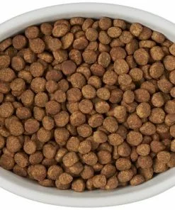 Frisco Oval Meow Non-skid Ceramic Cat Bowl with Wood Base, 1 Cup -Pet Food Gear Shop 256080 PT5. SY630 V1615312016