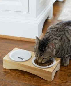 Frisco Double Elevated Cat Bowl with Wood Stand, 0.62 Cup -Pet Food Gear Shop 256082 PT2. SY630 V1615312650
