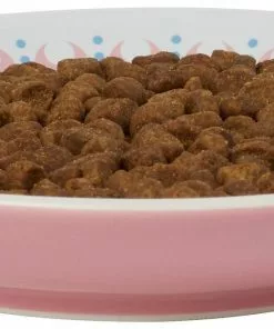 Frisco Kaleidoscope Pattern Non-skid Ceramic Cat Dish, Pink, 0.62 Cup -Pet Food Gear Shop 256084 PT4. SY630 V1618494759