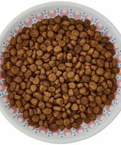 Frisco Kaleidoscope Pattern Non-skid Ceramic Cat Dish, Pink, 0.62 Cup -Pet Food Gear Shop 256084 PT5. SY630 V1617042695