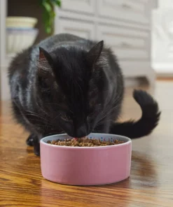 Frisco Kaleidoscope Pattern Non-skid Ceramic Cat Dish, Pink, 1.62 Cup -Pet Food Gear Shop 256086 PT2. SY630 V1615313605