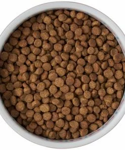 Frisco Kaleidoscope Pattern Non-skid Ceramic Cat Dish, Pink, 1.62 Cup -Pet Food Gear Shop 256086 PT5. SY630 V1615310802