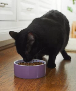 Frisco Kaleidoscope Pattern Non-skid Ceramic Cat Dish, Purple, 1.62 Cup -Pet Food Gear Shop 256090 PT2. SY630 V1615311092