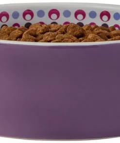 Frisco Kaleidoscope Pattern Non-skid Ceramic Cat Dish, Purple, 1.62 Cup -Pet Food Gear Shop 256090 PT3. SY630 V1615311698