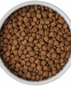 Frisco Kaleidoscope Pattern Non-skid Ceramic Cat Dish, Purple, 1.62 Cup -Pet Food Gear Shop 256090 PT5. SY630 V1615312887