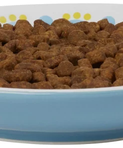 Frisco Kaleidoscope Pattern Non-skid Ceramic Cat Dish, Blue, 0.62 Cup -Pet Food Gear Shop 256092 PT3. SY630 V1617042717