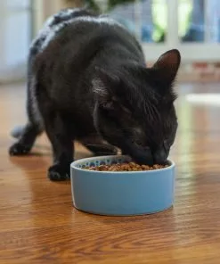 Frisco Kaleidoscope Pattern Non-skid Ceramic Cat Dish, Blue, 1.62 Cups 10 Frisco Kaleidoscope Pattern Non-skid Ceramic Cat Dish, Blue, 1.62 Cups -Pet Food Gear Shop 256094 PT2. SY630 V1615311130