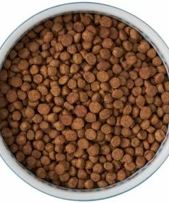 Frisco Kaleidoscope Pattern Non-skid Ceramic Cat Dish, Blue, 1.62 Cups 13 Frisco Kaleidoscope Pattern Non-skid Ceramic Cat Dish, Blue, 1.62 Cups -Pet Food Gear Shop 256094 PT5. SY630 V1615312042